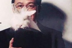 董洁卓伟爆料视频大全最新,揭秘娱乐圈背后的真相与争议